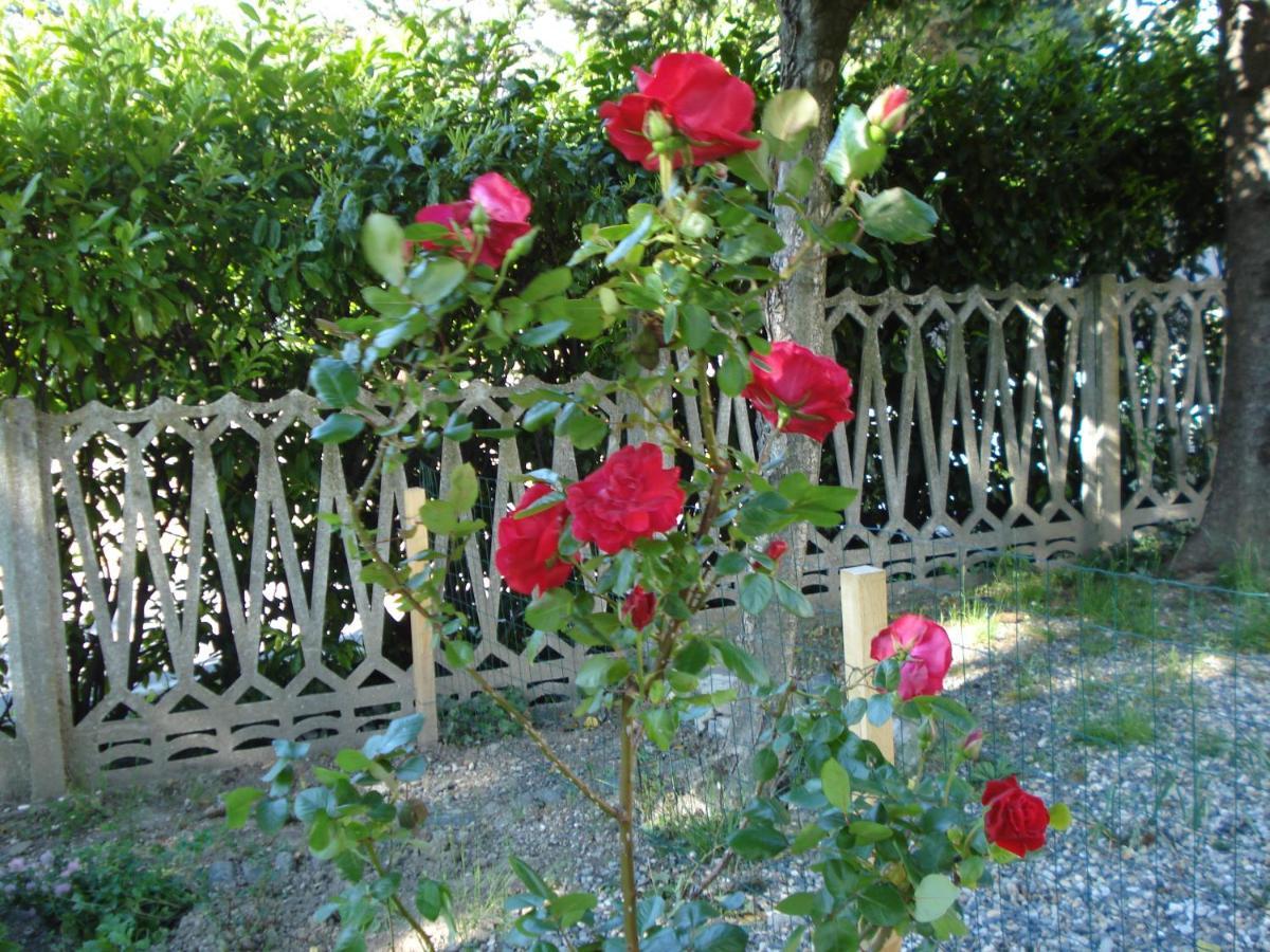 Casa T Bed And Breakfast & Home Restaurant Di Tacchino Simone Tagliolo Monferrato Экстерьер фото